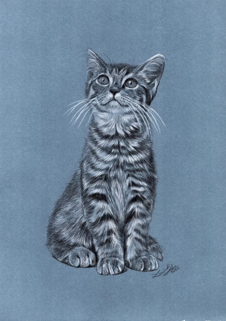 Illustration de Louise Bestea