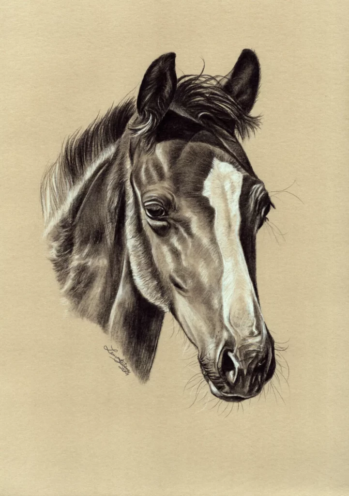 Illustration de Louise Bestea